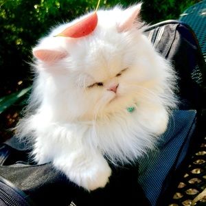 Meet your Posher, Eav